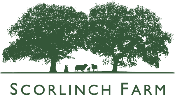 Scorlinch Farm